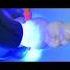 Rashid Dental Clinic Compositefilling Scaling Polishing Rct Crown Braces Extraction Denture
