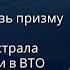 Животные в ВТО Астрал Медитация Миры внетелесного опыта с практиком Андрей ЩЕРБАКОВ