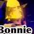 The Bonnie Song Groundbreaking Slowed Reverb