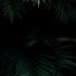 Bones Eddy Baker LooseScrew UNiON 連合 Remix Slowed Reverb TeamSESHBones
