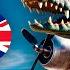 BOMBARDINO CROCODILO Original Vs Translate English Translation Version Italian Brainrot