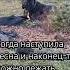 ЕДИНСТВЕННОЕ МОЕ СЧАСТЬЕ музыка ткачева Canecorso Venera собака