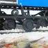 ПЛОТВА СОШЛА С УМА БЕШЕННЫЙ ЖОР Первая рыбалка с БАРБОСОМ часть 1