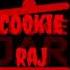 FAKE Cookie RaJ Nightmares Logo 666