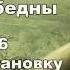Рэнди Гейдж Почему вы глупы больны и бедны Аудиокнига