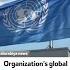 Organization S Global Ties Growing