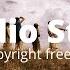 Tropical Fever LiQWYD Luke Bergs No Copyright Music