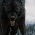 Волки мы в ночных Лесах Руслан Добрый Tural Everest VIDEO