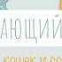 Про кошек и собак Животные живого уголка Окружающий мир урок 9 2 класс В школу с Верой и Фомой