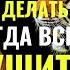 Что делать когда все рушится Аджан Брам 18 мая 2012