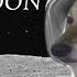 Cheems Dog Goes To The Moon