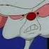 Animaniacs Pinky And The Brain Short Intro Russian 2014 Dub By Boomerang