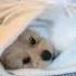 Wakey Wakey It S Time For School