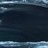 Inside The Bermuda Triangle What Really Happened Short Viralshort Amazing 100