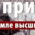 ЦАРИ ПРИРОДЫ ЖИЗНЬ НА ЗЕМЛЕ ВЫСШИХ ХИЩНИКОВ