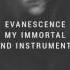 Evanescence My Immortal Band Instrumental By Richards