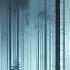 Cold Nights Boone Rain On My Window Undercurrent Slowed By Downube