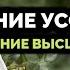 ОТПЕВАНИЕ УСОПШЕГО Мнение Высших