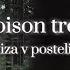 Liza V Posteli Poison Tree Lyrics