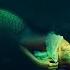 Deep Sleep Sea Music Mermaid Siren Relaxing Sounds Sleep Sounds Meditation 10 Hours