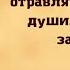 Сборник мудрых цитат Лучшие высказывания любимых авторов