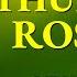 THURSDAY HOLY ROSARY OCTOBER 31 2024 LUMINOUS MYSTERIES OF THE ROSARY VIRTUAL Holyrosarytoday