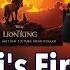 Rafiki S Fireflies Lion King Lyrics Disney Movie Soundtrack