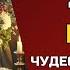 ВЕСЫ Гороскоп 2025 года Самый лучший год для заманчивых перемен Откройте сердце навстречу чудесам