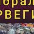 ПОЧЕМУ МЫ ВЕРНУЛИСЬ В НОРВЕГИЮ ОБЪЕХАВ 20 СТРАН ЕС