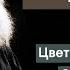Цветная кинохроника Льва Толстого Colorized Newsreel And Voice Recording Of Leo Tolstoy