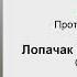 Пленарне засідання сесії ЛМР від 16 09 2021