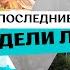 Будни многодетной семьи Поход на бассейн Готовим хот доги Планируем отпуск