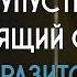 Паразиты только корейцы поняли смысл фильма