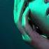PROGRESSIVE VOCAL TRANCE VOL 4 FULL SET