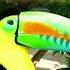 Toucan Sound Toucan Sounds Toucanbird Toucans Animals Allanimalsin1