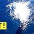 Tuna Fishing And Cutting