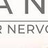 Ten Minute Yoga Nidra Reset Your Nervous System