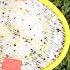 How To Use An Electric Fly Swatter Correctly