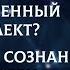 Большая разборка Что скрывает Искусственный интеллект