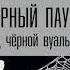 Аудиокнига Детектив Черный паук под черной вуалью