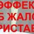 Жалоба на судебного пристава САМЫЙ ЭФФЕКТИВНЫЙ СПОСОБ