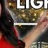 10 DIY Lighting Ideas That Ll Transform Your Outdoor Space