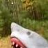 Shark Puppet Crying