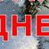 РОМА С ДНЕМ РОЖДЕНИЯ