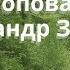 Алла Попова та Олександр Зайченко Оркестр природи