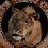 Metro Goldwyn Mayer 1991