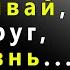 Поразительно сильные слова Брюс Ли которые невероятно мотивируют Высказывания цитаты и афоризмы