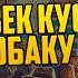 ДЕТЕКТИВНАЯ ИСТОРИЯ Эллери Квин ЧЕЛОВЕК КУСАЕТ СОБАКУ Аудиокнига Звуки Книги