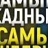 Просто позорище Как жадность актеров загубила их карьеры Самые скупые и щедрые звезды Голливуда