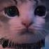 Song Name GERXMVP HERMES Extremely Slowed Kitty Cat Cats Catsofinstagram Kitten